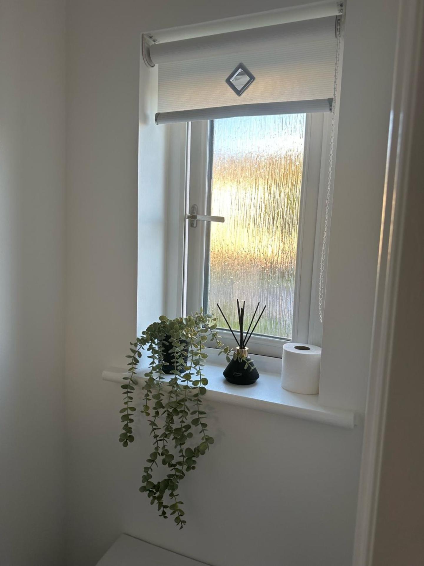 Black Daisy Glasgow Ngoại thất bức ảnh
